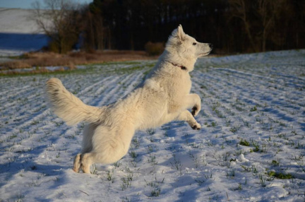 1003594 971241289580306 3757154806287773736 n