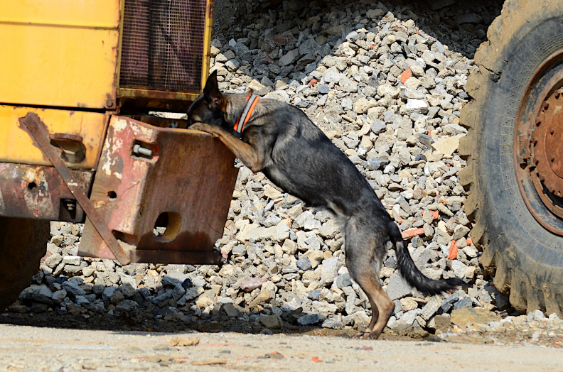 DSC_9042U.JPG